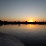 Feria Internacional de Caza