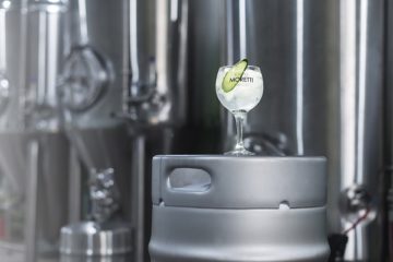 Gin, los mejores tragos para preparar en casa