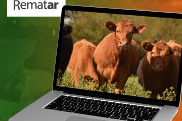 Remate Virtual