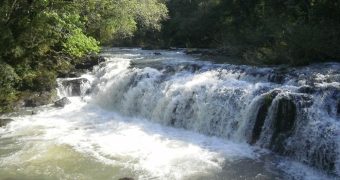 Respeto y responsabilidad hacia la naturaleza